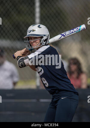 Softball action with Napa vs. Douglas High School. Stock Photo