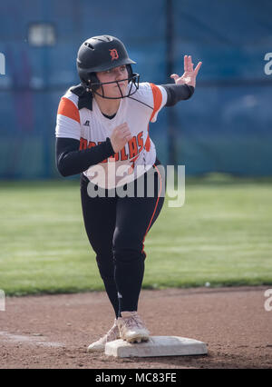 Softball action with Napa vs. Douglas High School. Stock Photo