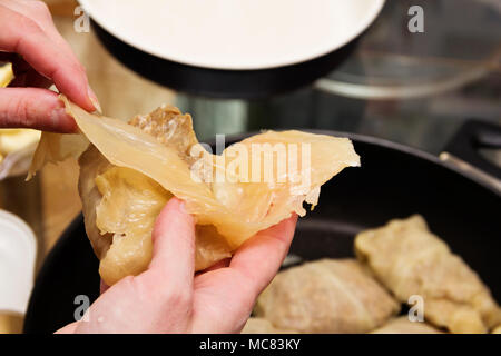 Preparation of cabbage rolls.  Woman lays minced meat in cabbage leaves. Stock Photo