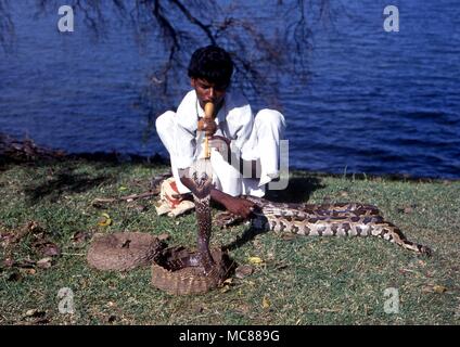 Snake charmer in Sri Lanka playing flute to 'dancing' cobra Stock Photo