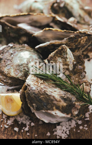 Dozen fresh oysters on the wooden and sea salt. Top view Stock Photo