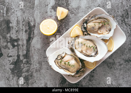 Fresh oysters in a white plate with ice and lemon on a wooden desk Stock Photo