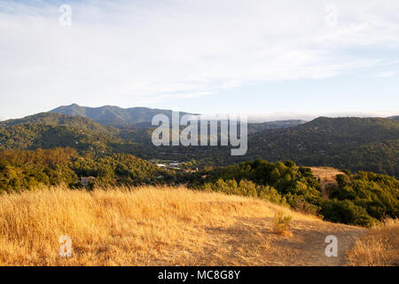 Looking down on the small town of Fairfax in a sea of gold and green Stock Photo
