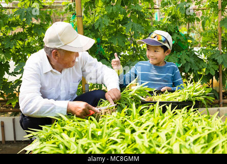 grandfather and grandson working in the vegetable garden Stock Photo