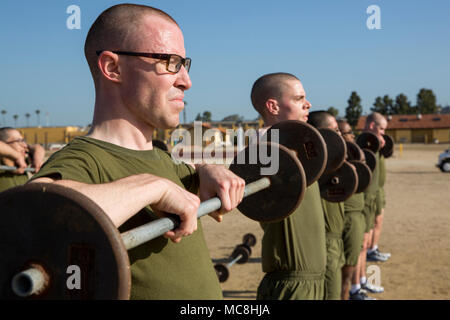 Recruits from Mike Company, 3rd Recruit Training Battalion, lift weights during a circuit course at Marine Corps Recruits Depot San Diego, March 26. Recruits build upper body strength and stamina by conducting the different exercises during training. Annually, more than 17,000 males recruited from the Western Recruiting Region are trained at MCRD San Diego. Mike Company is scheduled to graduate June 15. Stock Photo