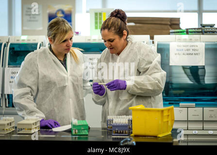 Lindsey White and Tiffany Miracle prepare serology samples to load into an automated analysis system in the immunodiagnostic section of the Epidemiology Laboratory Service, also known as the ‘Epi Lab,’ at the 711th Human Performance Wing’s United States Air Force School of Aerospace Medicine and Public Health at Wright Patterson AFB, Ohio, Jan. 30, 2018. Stock Photo