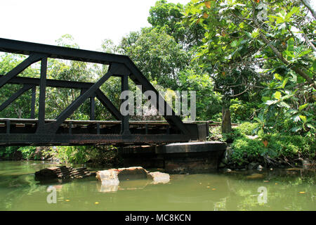 A truss bridge with pipeline support spanning over the Bentota river in the rainforest in Sri Lanka Stock Photo