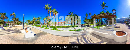 Puerto de la Cruz, Tenerife, Canary Islands, Spain: Promenade palm tree gardens near Lago Martianez Stock Photo