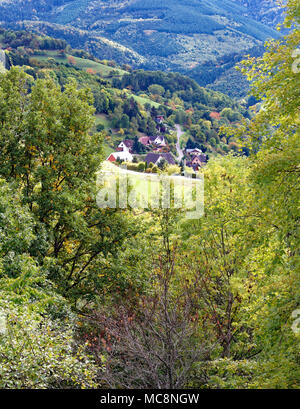 An elevated view, in late summer, of the leafy tree covered landscape near Kaysersberg in Alsace, France. Stock Photo