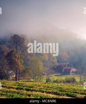 An early morning view of a misty landscape in Oak Grove, North Carolina, USA. Stock Photo