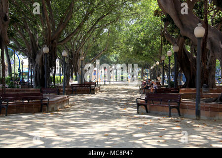 The Explanada de España, a maritime promenade that runs parallel to the port, is one of the most popular areas in Alicante, Spain Stock Photo