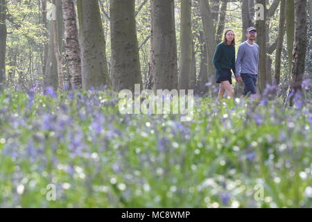 People walk in Wanstead Park in Epping Forest, east London. Stock Photo