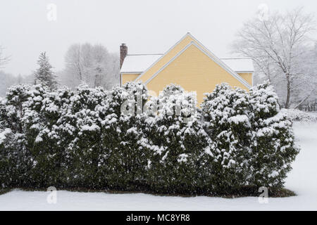 Winter Scene in a New England Suburban Neighborhood, USA Stock Photo