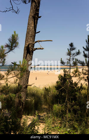 A scene from Wells next the Sea, North Norfolk, UK Stock Photo