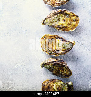 Fresh oysters on white, grey concrete stone background. Top view, copy space Stock Photo