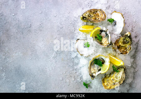 Fresh opened oysters, lemon, herbs, ice on concrete stone grey background. Top view, copy space Stock Photo