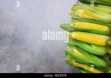 Fresh corn on cobs on light grey concrete background, closeup, top view, copy space Stock Photo