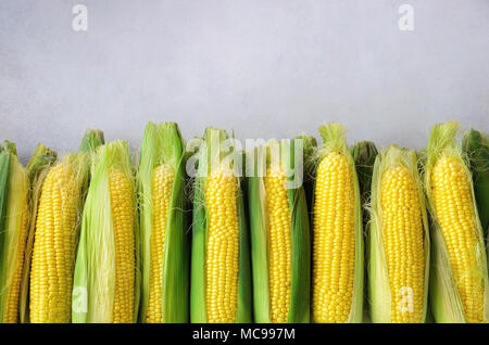 Fresh corn on cobs on light grey concrete background, closeup, top view, copy space Stock Photo