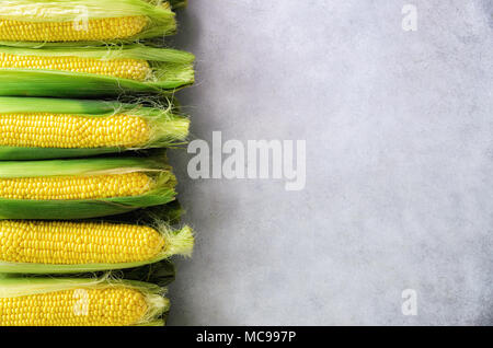Fresh corn on cobs on light grey concrete background, closeup, top view, copy space Stock Photo
