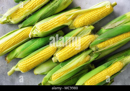 Fresh corn on cobs on light grey concrete background, closeup, top view, copy space Stock Photo