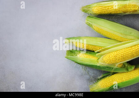 Fresh corn on cobs on light grey concrete background, closeup, top view, copy space Stock Photo