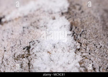 Texture, pattern. Frozen water on the glass, frozenned glass, Ice on window,winter icy patterns Stock Photo