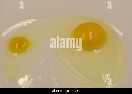 Beautiful picture of eggs in a white bowl with beaters near yolk Stock Photo