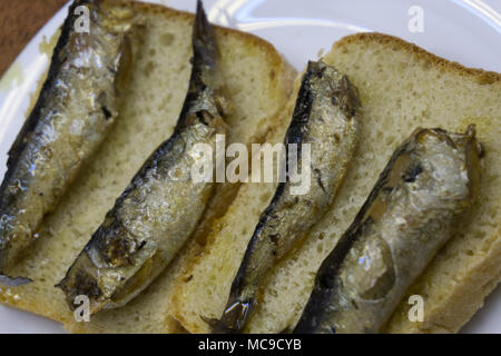 Sprats sandwiches on white plate Stock Photo