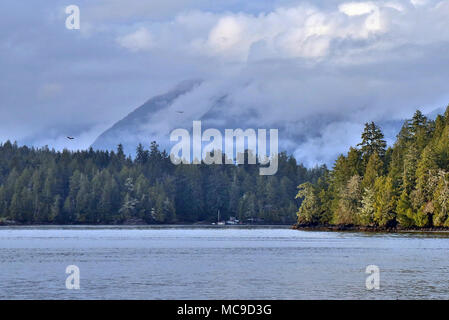 Mist over Meare's Island in Tofino on the Clayoquot Sound on the West Coast of Vancouver Island in British Columbia, Canada. Stock Photo