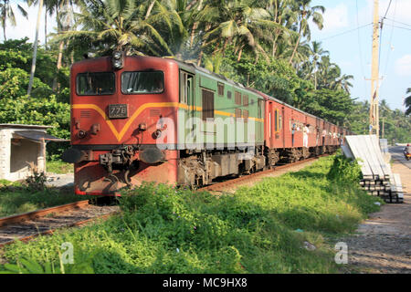 A train passing some coconut palm trees on it's way to Colombo, Sri Lanka Stock Photo