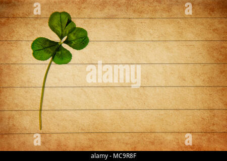 Pressed four-leaved clover on aged parchment paper. Stock Photo