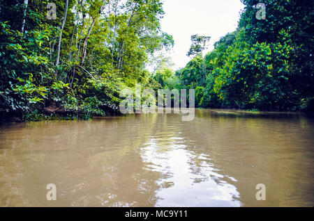 Kinabatangan, Malaysia - 09 May 2013 : Tourists on a boat cruise along the river of Kinabatangan, some of the most diverse concentration of wildlife i Stock Photo