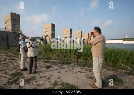 Bird watchers scan the horizon into Mexico at the Anzalduas Dam in Hidalgo County, TX, on the Rio Grande River. The area would be isolated by President Donald Trump's proposed border wall. Stock Photo