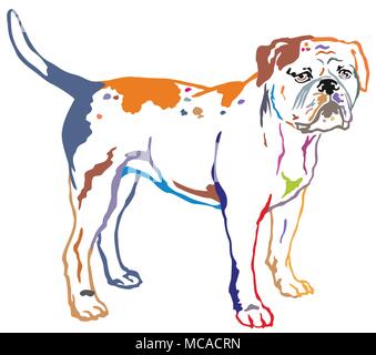 Colorful contour decorative portrait of standing in profile American Bulldog, vector isolated illustration on white background Stock Vector