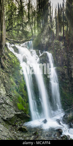 vertical panorama of a gorgeous waterfall in lush green woods with warm sunlight shining through the trees Stock Photo