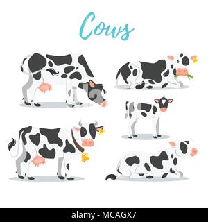Vector cartoon style set of cows in different positions: gazing, standing, lies on the ground. Stock Vector