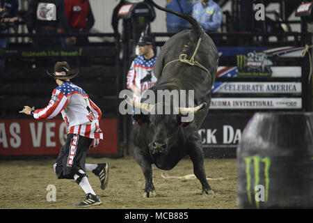 Bullfighter Cody Webster poses during the 2021 PBR World Finals, on News  Photo - Getty Images