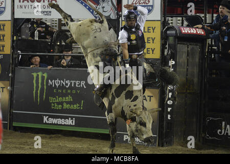 Tacoma, Washington, USA. 14th Apr, 2018. Professional bull riders in action at the PBR-Tacoma Invitational at the Tacoma Dome in Tacoma, WA. Credit: Jeff Halstead/ZUMA Wire/Alamy Live News Stock Photo