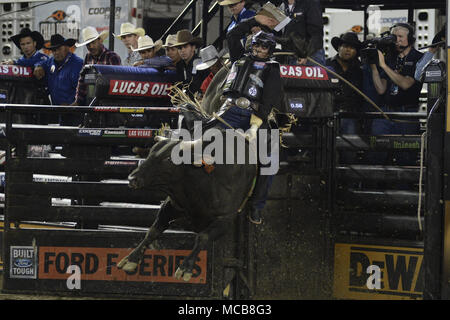 Tacoma, Washington, USA. 14th Apr, 2018. Professional bull riders in action at the PBR-Tacoma Invitational at the Tacoma Dome in Tacoma, WA. Credit: Jeff Halstead/ZUMA Wire/Alamy Live News Stock Photo