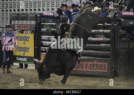 Tacoma, Washington, USA. 14th Apr, 2018. Professional bull riders in action at the PBR-Tacoma Invitational at the Tacoma Dome in Tacoma, WA. Credit: Jeff Halstead/ZUMA Wire/Alamy Live News Stock Photo