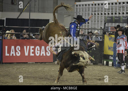 Tacoma, Washington, USA. 14th Apr, 2018. Professional bull riders in action at the PBR-Tacoma Invitational at the Tacoma Dome in Tacoma, WA. Credit: Jeff Halstead/ZUMA Wire/Alamy Live News Stock Photo