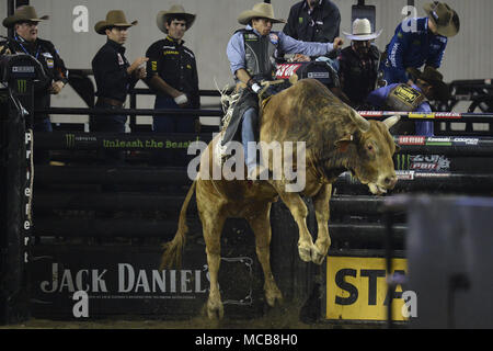 Tacoma, Washington, USA. 14th Apr, 2018. Professional bull riders in action at the PBR-Tacoma Invitational at the Tacoma Dome in Tacoma, WA. Credit: Jeff Halstead/ZUMA Wire/Alamy Live News Stock Photo