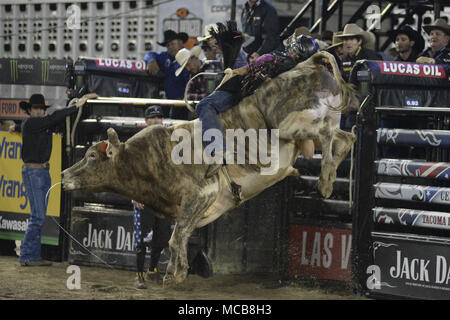 Tacoma, Washington, USA. 14th Apr, 2018. Professional bull riders in action at the PBR-Tacoma Invitational at the Tacoma Dome in Tacoma, WA. Credit: Jeff Halstead/ZUMA Wire/Alamy Live News Stock Photo