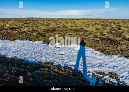 Photographer's shadow with the moss-covered lava of the Eldhraun Lava Field, which was poured out during the Laki, aka Lakagígar, eruption of 1783 fro Stock Photo