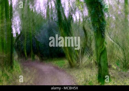 Abstract forest path background with blurry green trees, purple sky and creeping ivy. Stock Photo