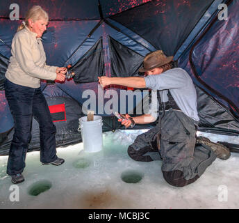 Ice fishing on Heffley Lake near Sun Peaks Resort with Elevated Fishing  Adventures. The lake is stocked with rainbow trout, a mild fish that makes  great eating. This ice fishing tent and