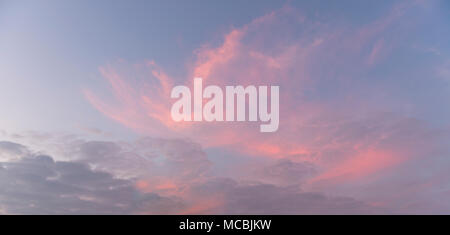 Sunset, pink clouds in the sky Stock Photo
