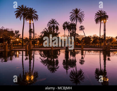 Palm trees are reflected in a fountain, afterglow, Plaza de America, Seville, Andalusia, Spain Stock Photo
