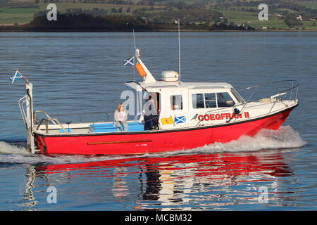 The Firth of Clyde-based Coegfran II, used in various roles such as a dive boat, fishing boat, or for sight-seeing tours, passes East India Harbour. Stock Photo