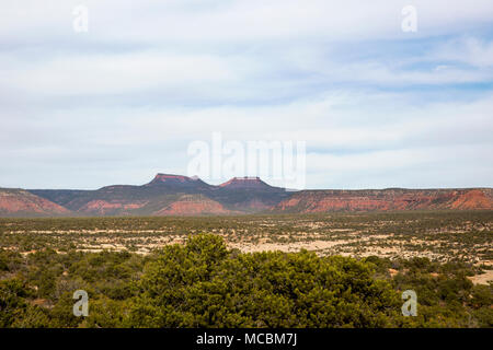 Bears Ears Buttes in the Bears Ears National Monument in southern Utah, United States Stock Photo